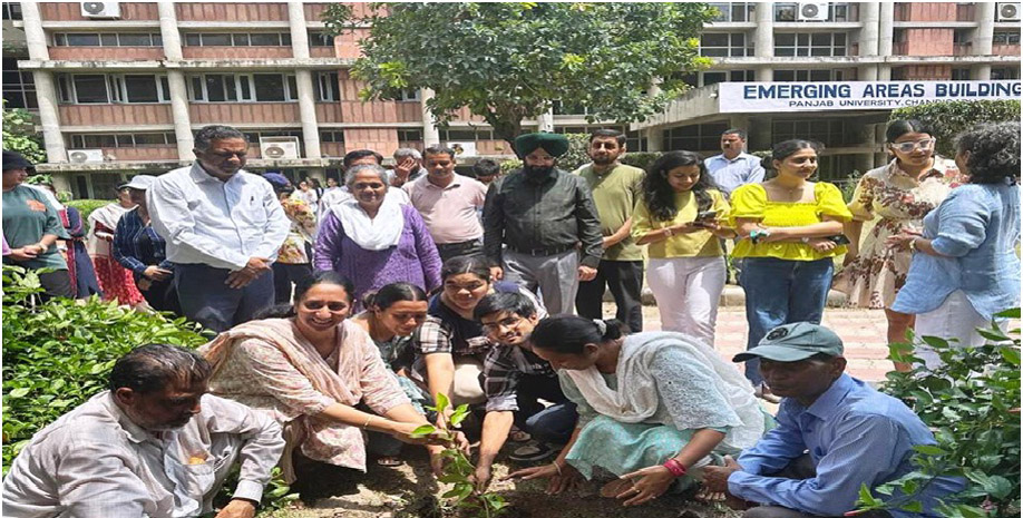 Panjab University organized a Tree Plantation Drive in the front and around the surrounding of Emerging Area Building.